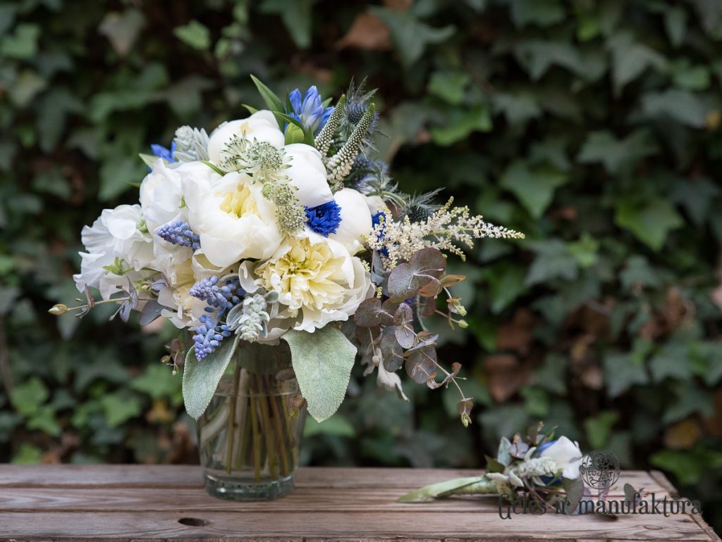 nuotakos puokštė bridal bouquet bijūnai paeonies melyna gentiana eryngium zunda gencijonai