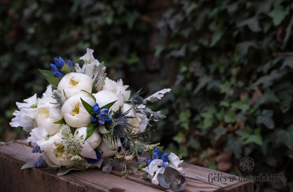 nuotakos puokštė bridal bouquet bijūnai paeonia peonies melyna gentiana eryngium zunda gencijonai