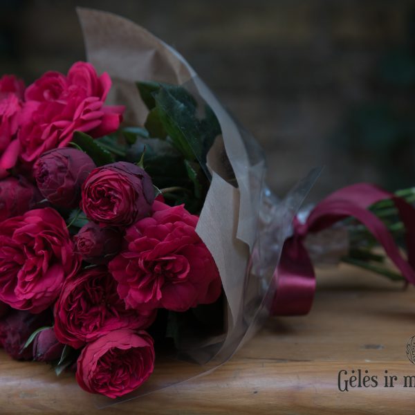 rosa garden rose red piano bijūninė sodo rožė pompon gėlės ir manufaktūra