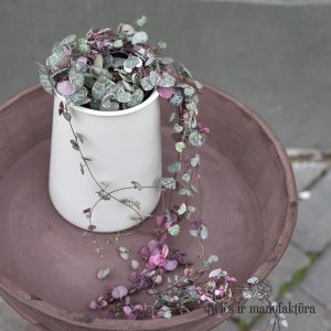 vazonas alessi ceropegia woodii vazone keramikinis pot ceramic vaza vase gėlės ir manufaktūra augalai kambariniai