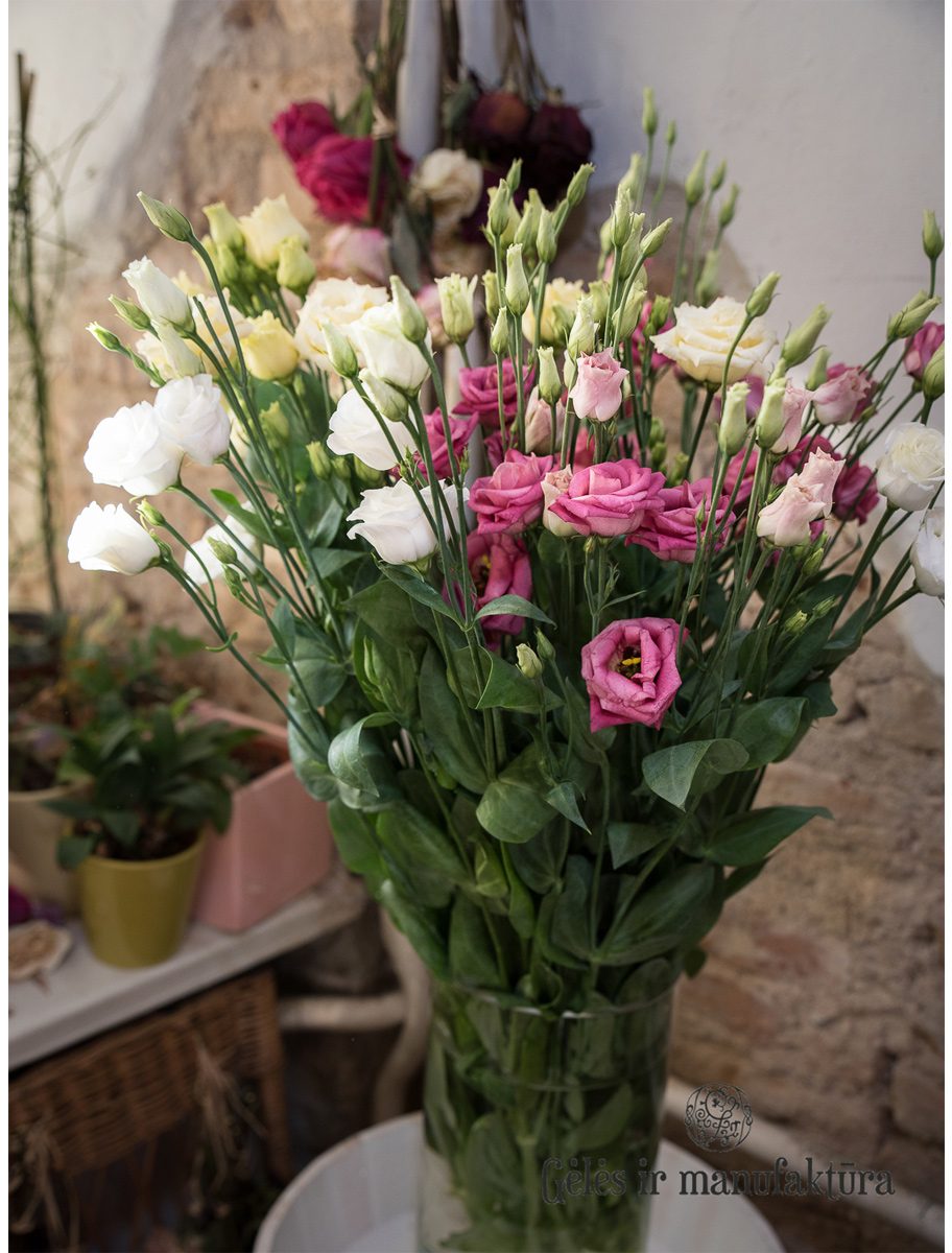 Įvairių spalvų pilnavidurių eustomų (Lisianthus) puokštė - Image 6