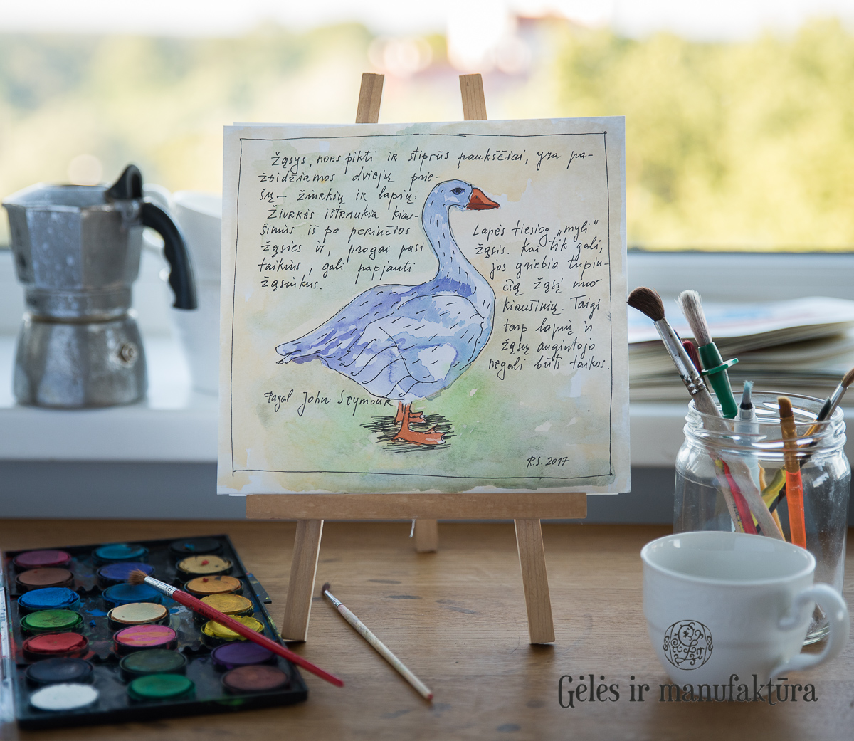 picture handmade geles ir manufaktura R.Strazdas art paveikslas žąsis naminiai gyvūnai akvarelė