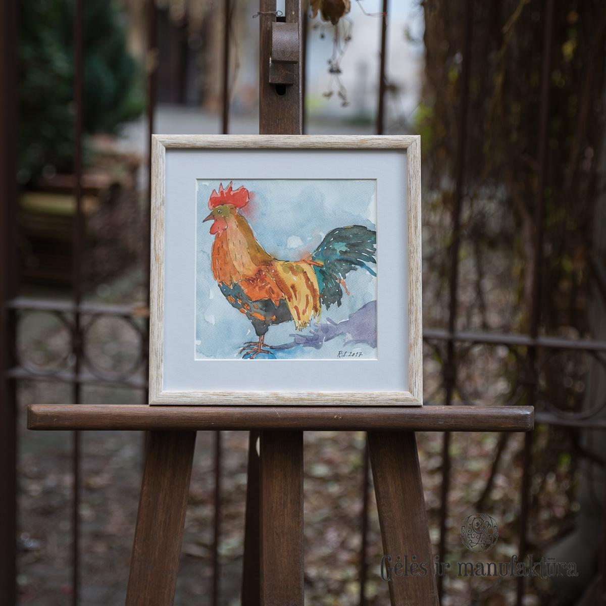 paveikslas akvarele peinture art tapyba Robertas Strazdas gaidys gėlės ir manufaktūra