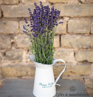 Levanda Lavandula angustifolia lavender flowers geles ir manufaktura flowershop levandos skintos