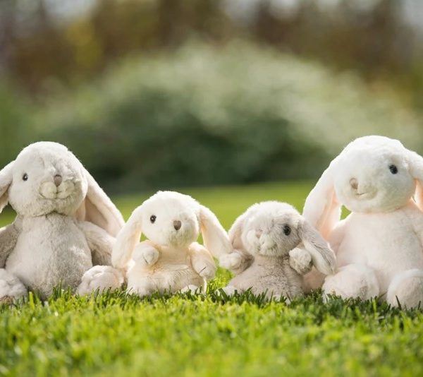rabbit kanini bunnies bunny pliušinis žaislas bukowski gėlės ir manufaktūra zuikutis zuikis kiškis kiškutis