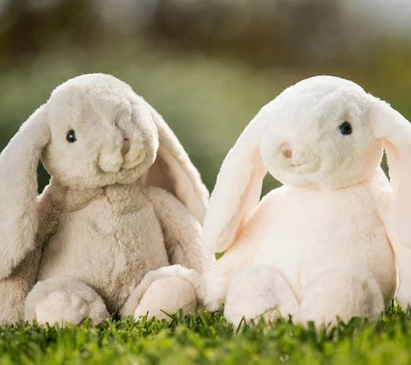 rabbit lovely kanini bunnies bunny pliušinis minkštas žaislas bukowski gėlės ir manufaktūra zuikutis zuikis kiškis
