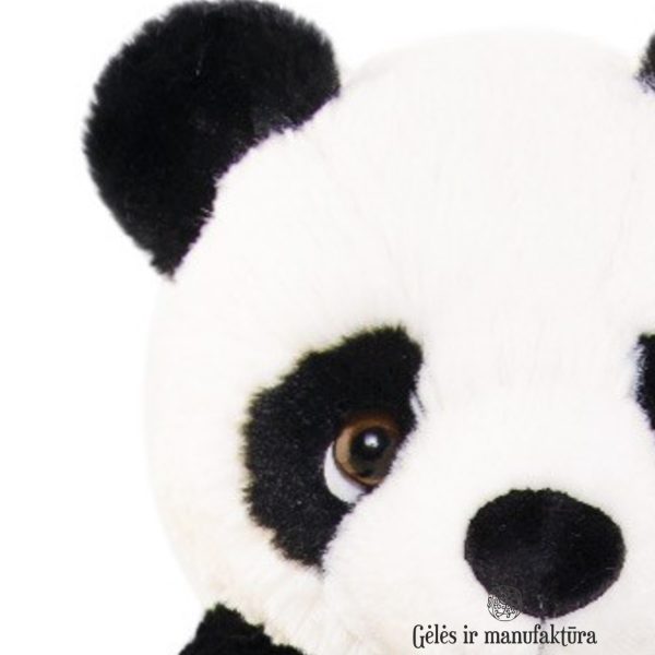 Panda Jie Jie Bukowski minkštas pliušinis žaislas geles ir manufaktura plush toy