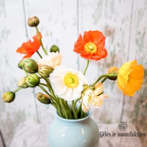 aguonos-papaver-flowers-skintos poppies gėlės-ir-manufaktūra-flowershop