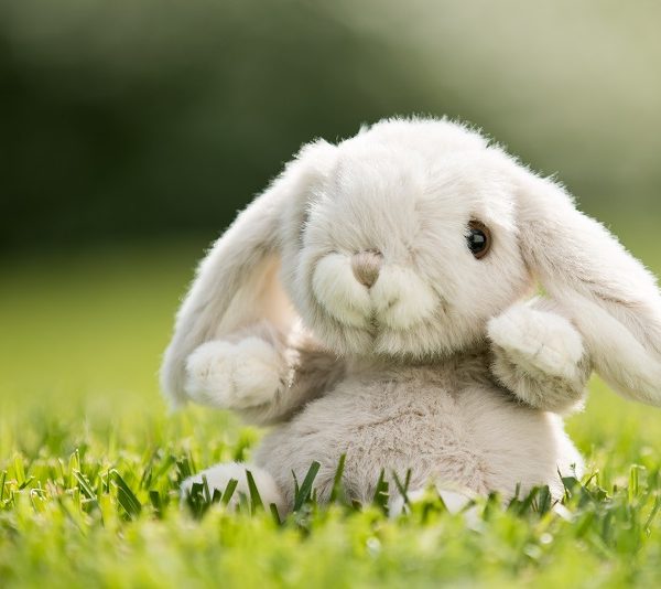 rabbit kanini bunnies bunny pliušinis žaislas bukowski gėlės ir manufaktūra zuikutis zuikis kiškutis pilkas