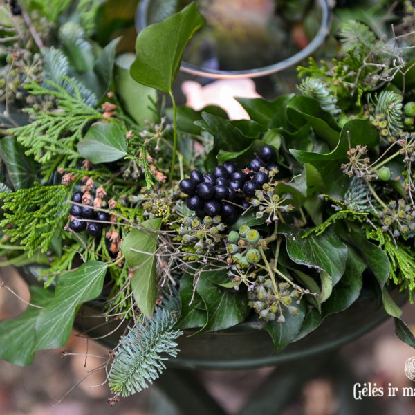 gėlės ir manufaktūra flowershop wreath berries hedera ivy vainikas vainikėlis gebenė cucurbita moliūgai
