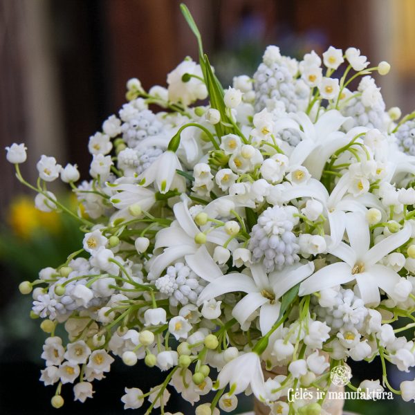 bridal bouquet convallaria lily of valley pakalnutės nuotakos puokste