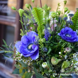 anemone anemoon bouquet plukė puokštė blue spring pavasaris gėlės ir manufaktūra