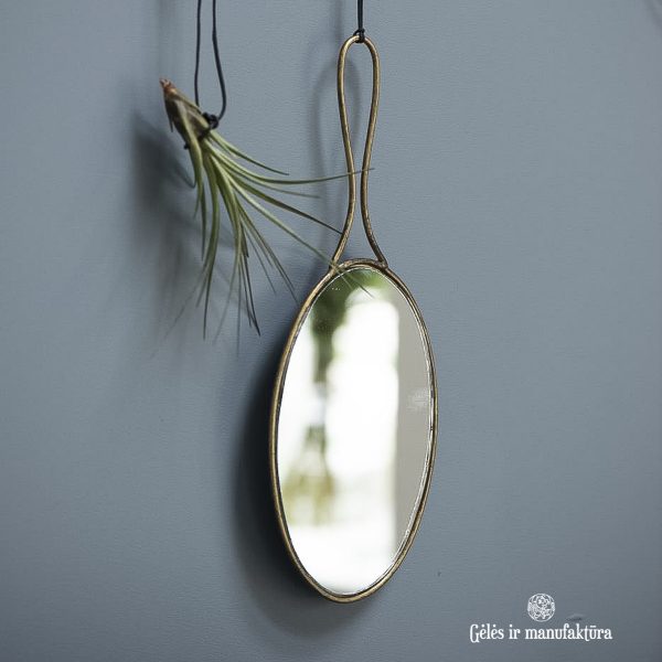 hand mirror veidrodis ovalas ovalo formos 3172-17 iblaursen gėlės ir manufaktūra