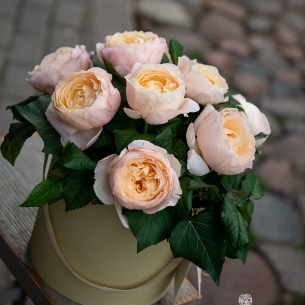 dėžutė rožės gėlių flower box gėlės ir manufaktūra rosa rose madam gulya