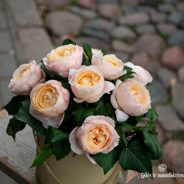 dėžutė rožės gėlių flower box gėlės ir manufaktūra rosa rose madam gulya