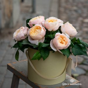 dėžutė rožės gėlių flower box gėlės ir manufaktūra