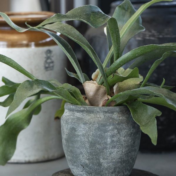 vazonas pots Athen green ceramic indas handmade keramika vaza rustic gėlės ir manufaktūra 1309-00 iblaursen kambariniai augalai