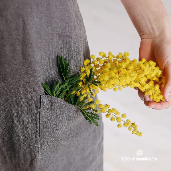 acacia mimosa akacija mimoza yellow flowers gėlės ir manufaktūra spring pavasaris