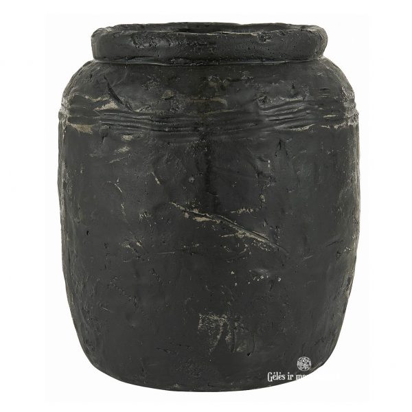 vazonas-pots-Delphi-Caesar-Akropolis-sciadopithys-handmade-pottery-indas-vaza-sendintas-rustic-gėlės-ir-manufaktūra-13112-24-iblaursen-kambariniai-augalai
