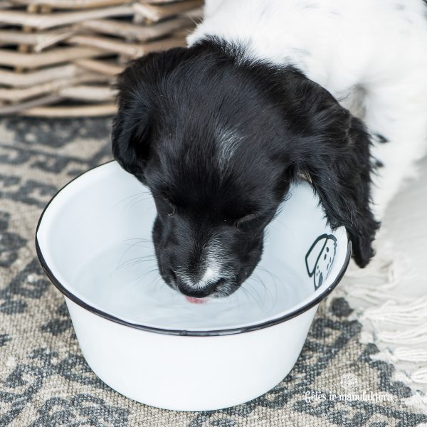 bowl white enamel for dog dubenėlis emaliuotas šuniukui šuniui metalinis gėlės ir manufaktūra
