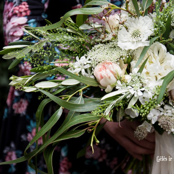 balta vasarine scabiosa eukaliptas nuotakos puokste bridal bouquet