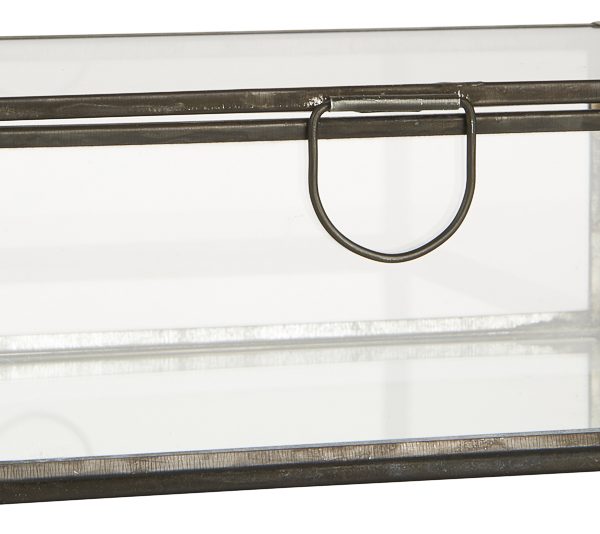 glass box ALTUM stiklinė dėžutė factory black juodas metalas gėlės ir manufaktūra