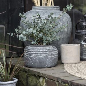 pot cleopatra augalų vazonas vaza terakota cement terracotta pilka gėlės ir manufaktūra iblaursen 13104-18