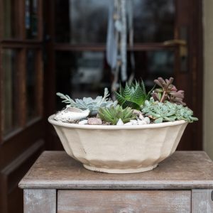 dubuo keramikinis provanso stilius bowl provence style ceramic kreminis sutrūkinėjusi glazūra sukulentai succulents plants augalai