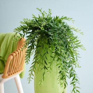 aeschynanthus jeprolepis elstgeest-hang-on-green hanging plants svyrantis kambarinis augalas eschinantas