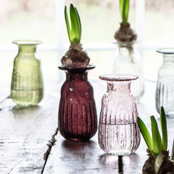 hyacinth vase pebbled vaza vazelė glass stiklinė rhododendron raudona red bordo gėlės ir manufaktūra iblaursen 8645-57