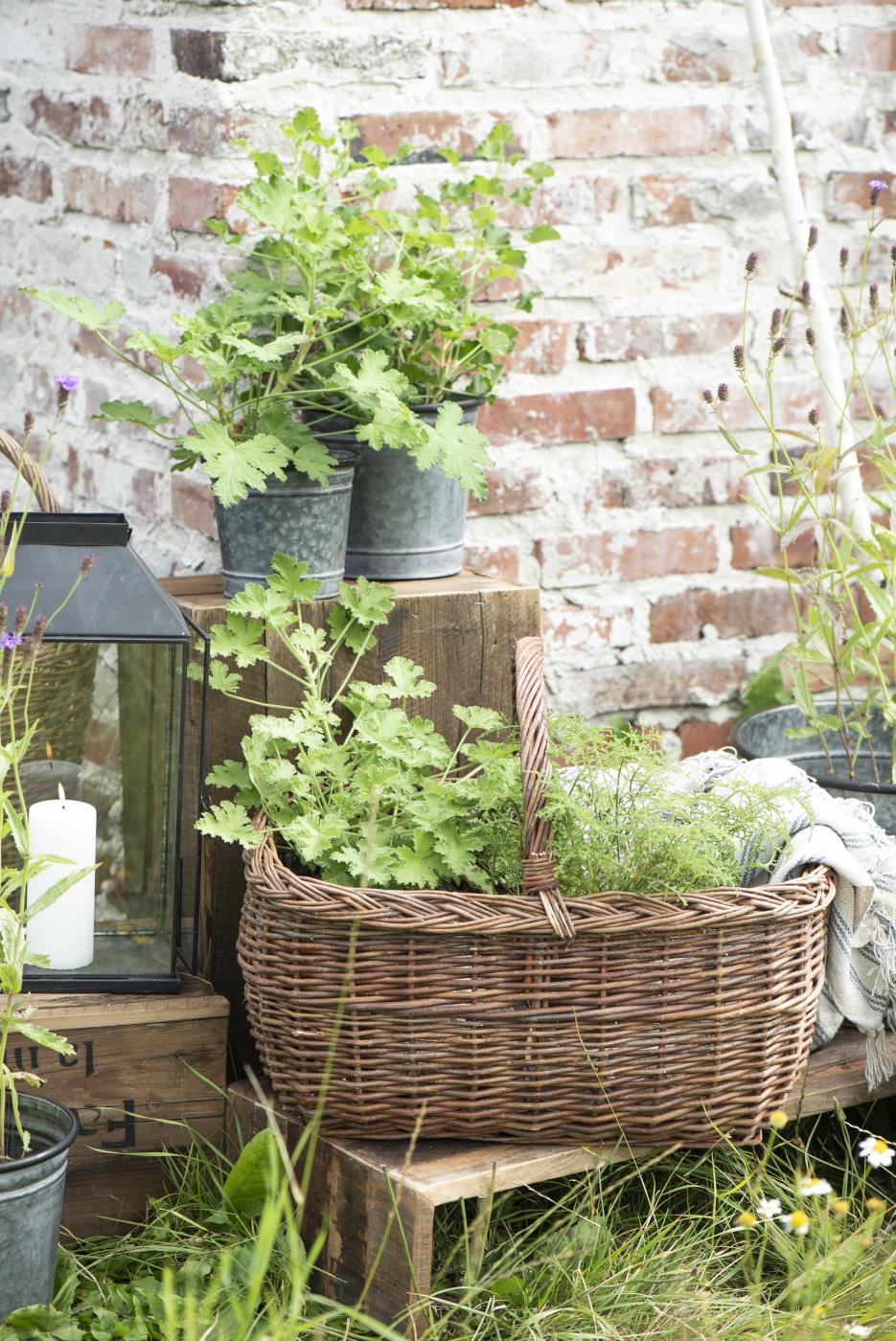 vazonas augalams metalinis Urban Garden zinc pot kibirėlis gėlės ir manufaktūra