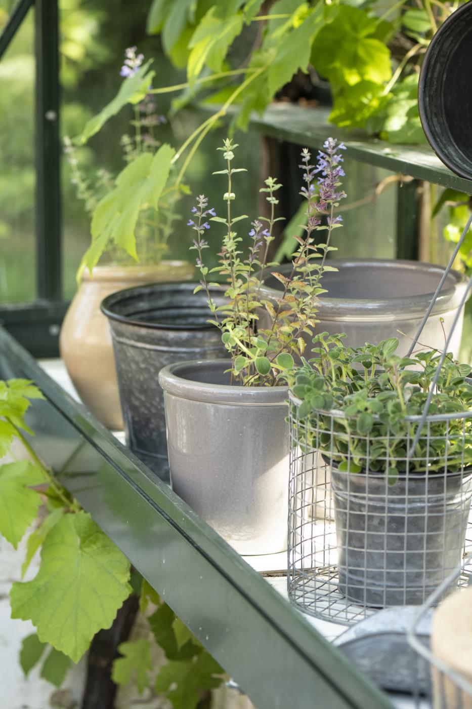 vazonas augalams metalinis Urban Garden zinc pot kibirėlis gėlės ir manufaktūra