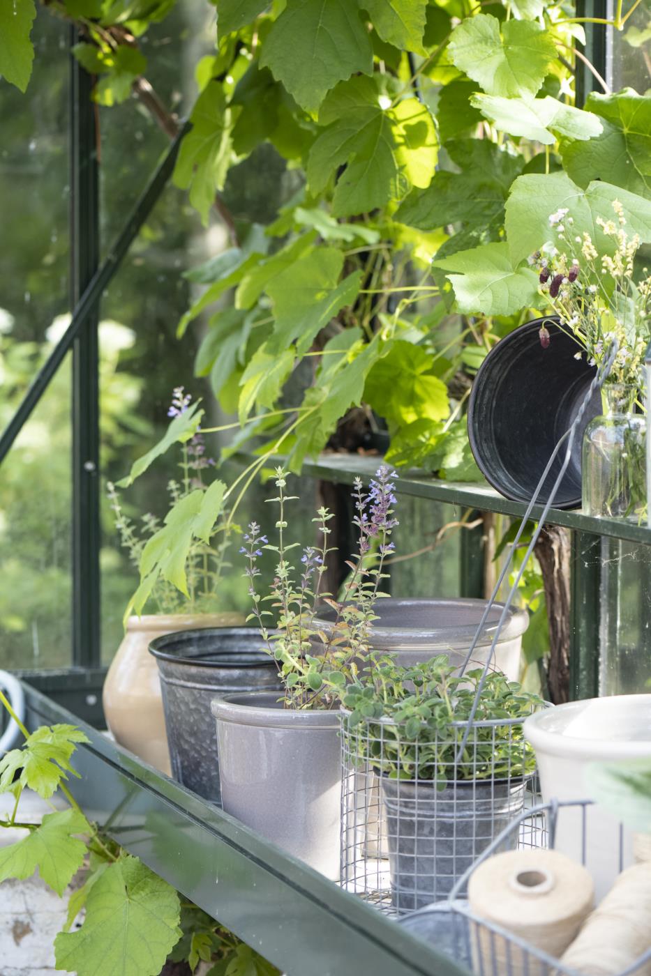 vazonas augalams metalinis Urban Garden zinc pot kibirėlis gėlės ir manufaktūra