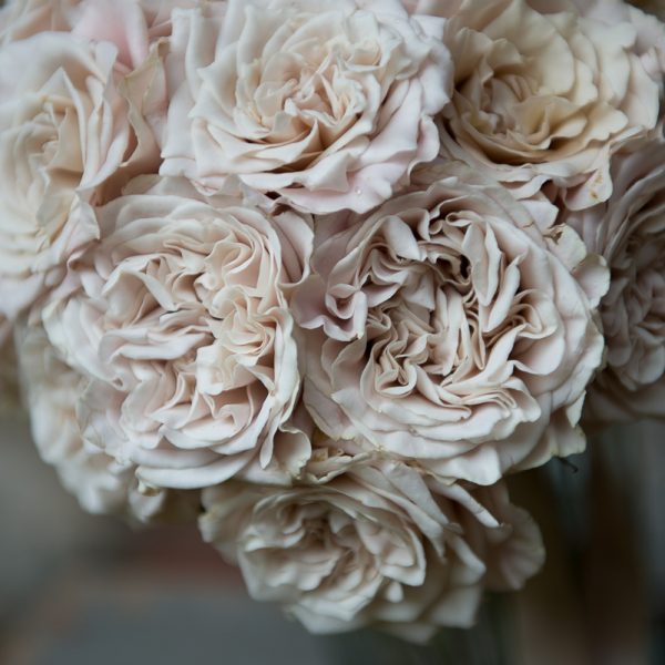 westminster abbey rose rožės nuotakos puokštė gėlės ir manufaktūra bridal bouquet vestuvės wedding