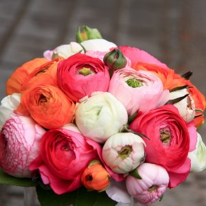 nuotakos vestuvinė puokštė vėdrynai balti ranunculus bridal bouquet gėlės ir manufaktūra wedding vestuvės