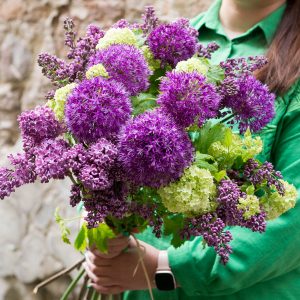 alyvos alyvų puokštė violetinė allium skintos skinta Gėlės ir manufaktūra flowers