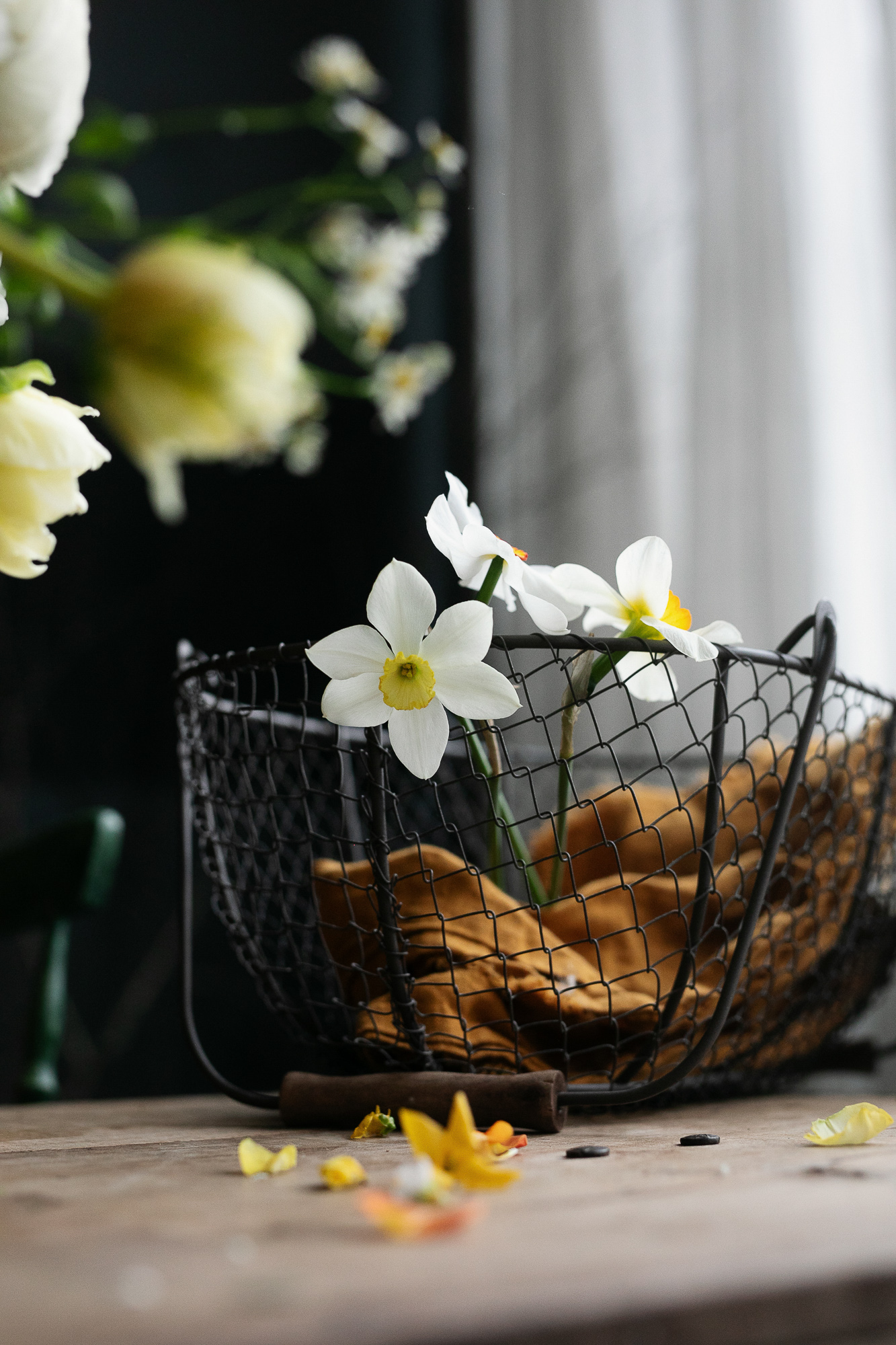 aguonos narcizai tulpės orange skinta skintos puokštė nuotakos Gėlės ir manufaktūra bridal flowers vestuvinė