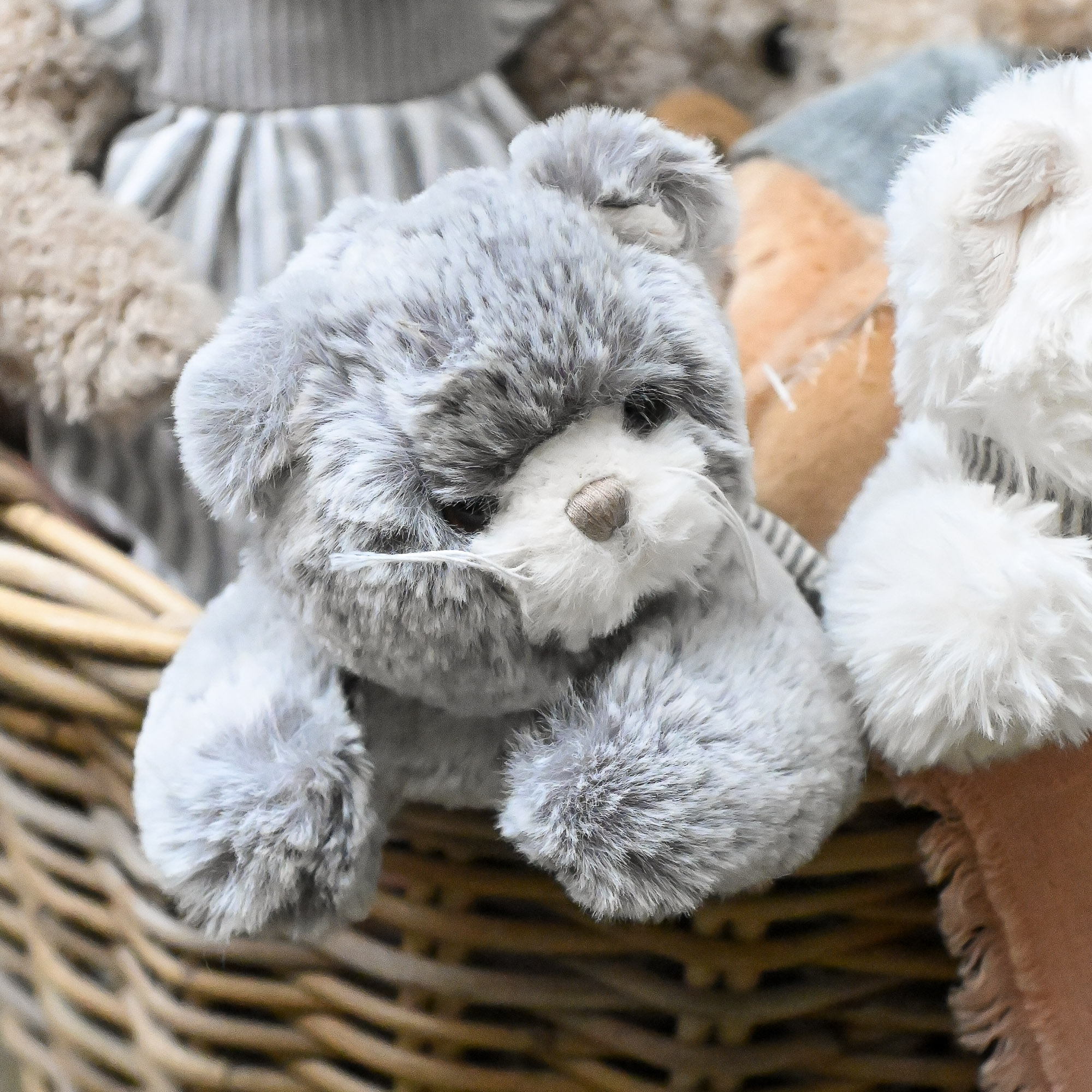 katinas kačiukas katinėlis pliušinis žaislas Bukowski design dovana krikštynos gėlės ir manufaktūra plush toy