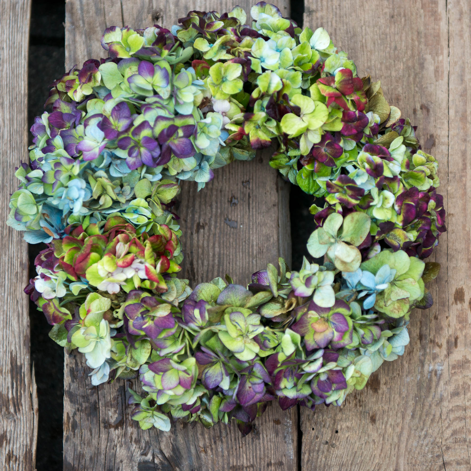 vainikas vainikėlis hortenzijos hydrangea wreath natūralus gėlės-ir-manufaktūra-ruduo-rudeninis violetinis